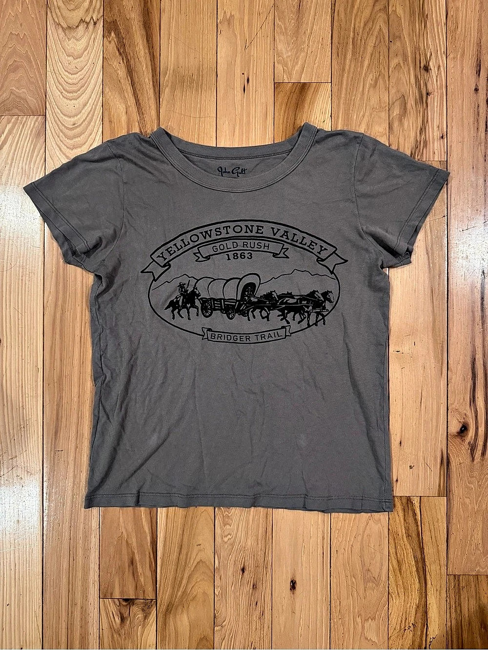 Brandy Melville Gray Yellowstone Valley Graphic Tee